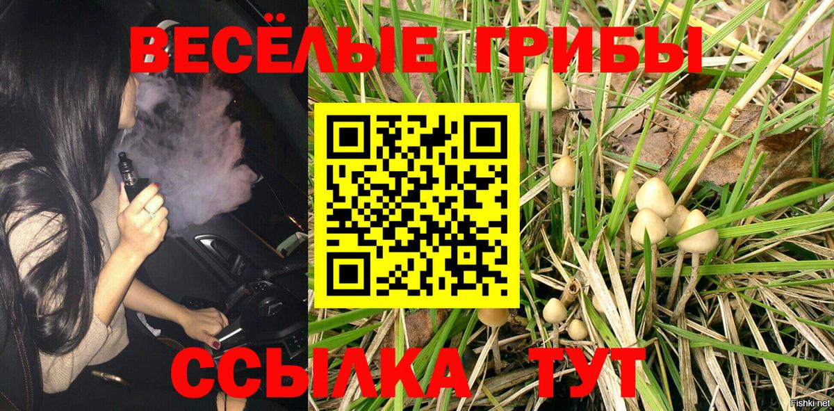Галлюциногенные грибы мухоморы Менделеевск